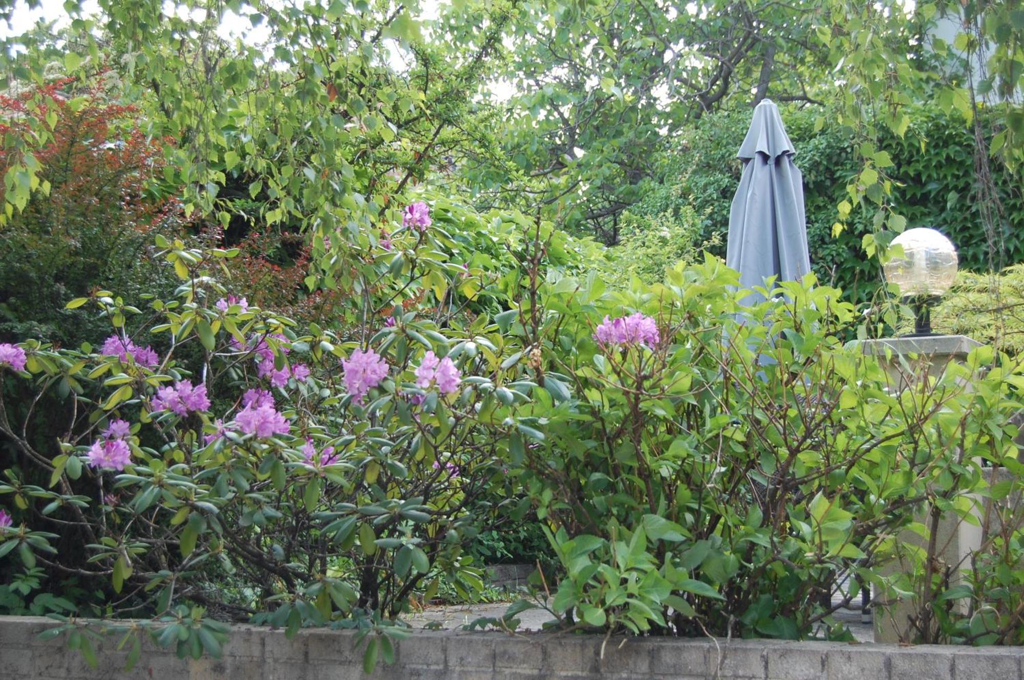 Hofgassl Zentgraf Bed & Breakfast Moerbisch Am See Luaran gambar