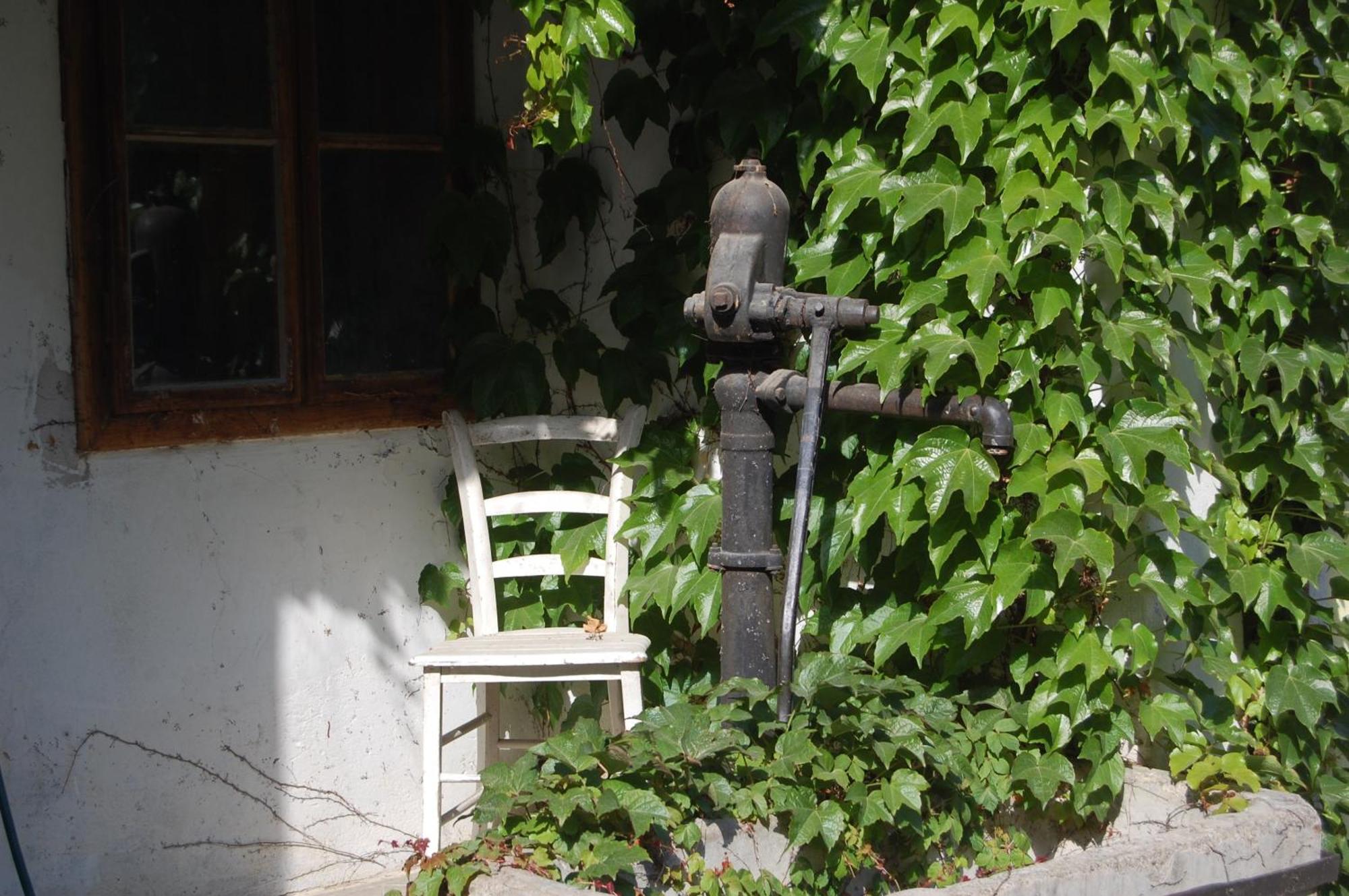 Hofgassl Zentgraf Bed & Breakfast Moerbisch Am See Luaran gambar