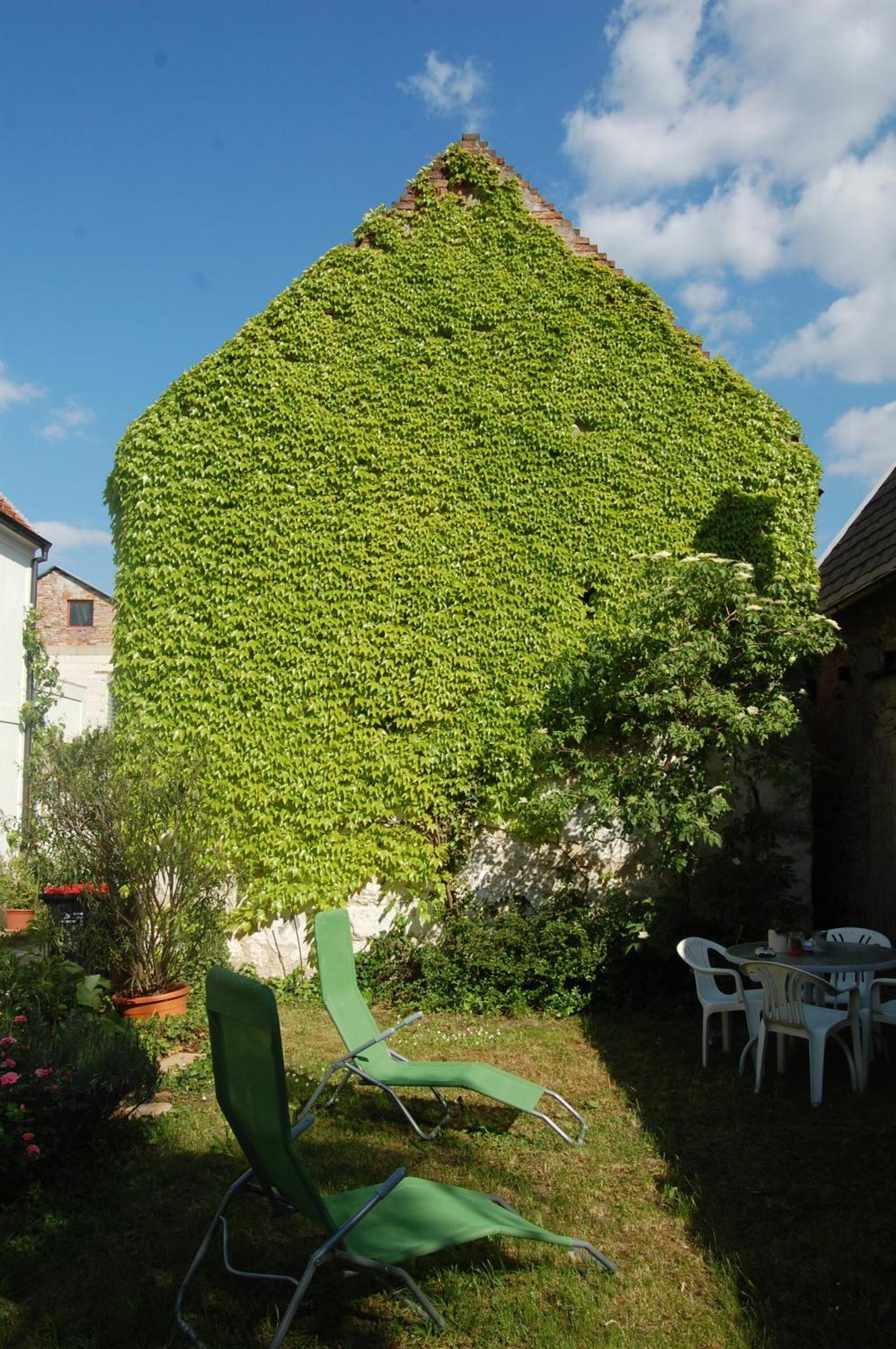 Hofgassl Zentgraf Bed & Breakfast Moerbisch Am See Luaran gambar