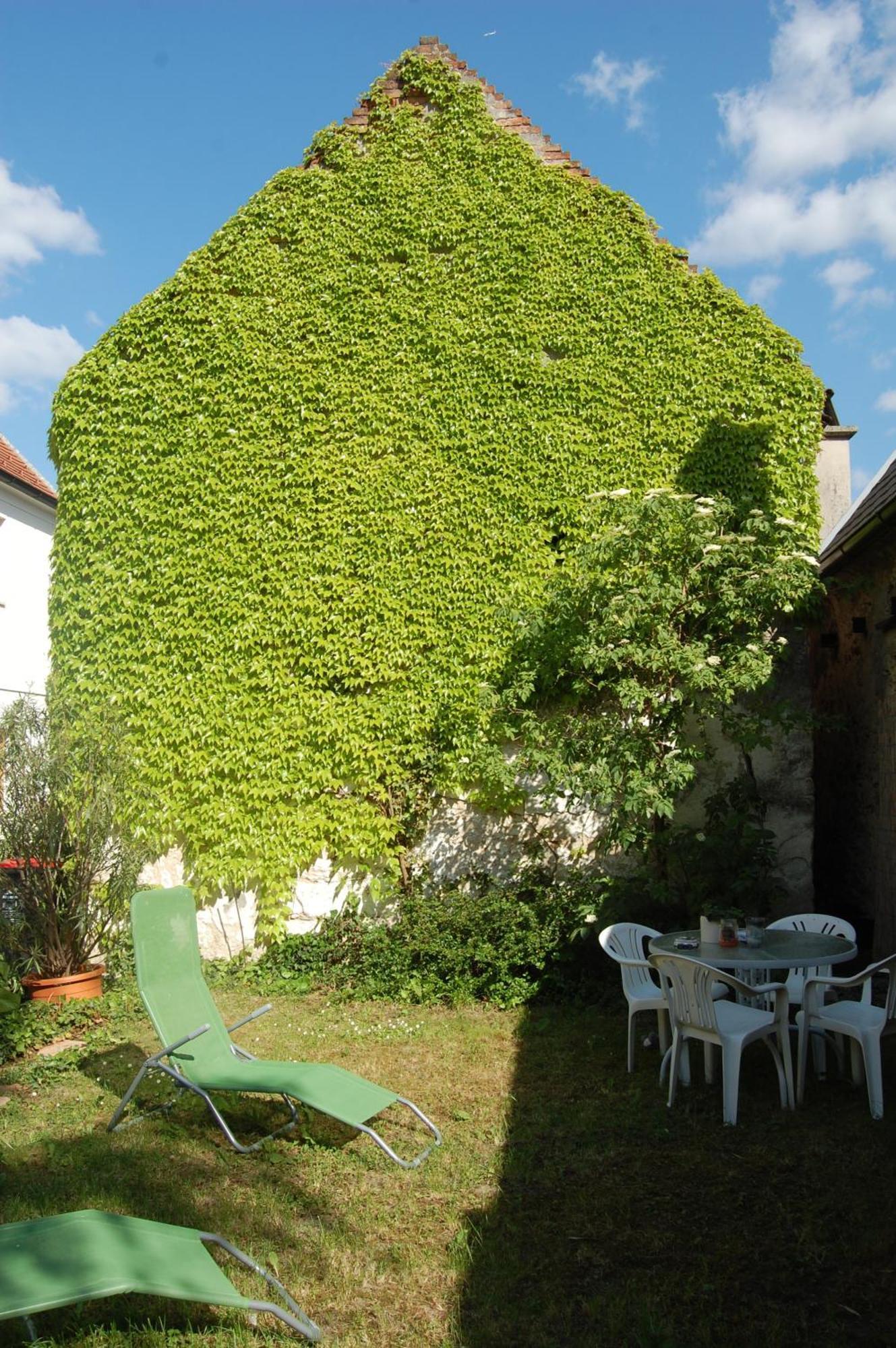 Hofgassl Zentgraf Bed & Breakfast Moerbisch Am See Luaran gambar